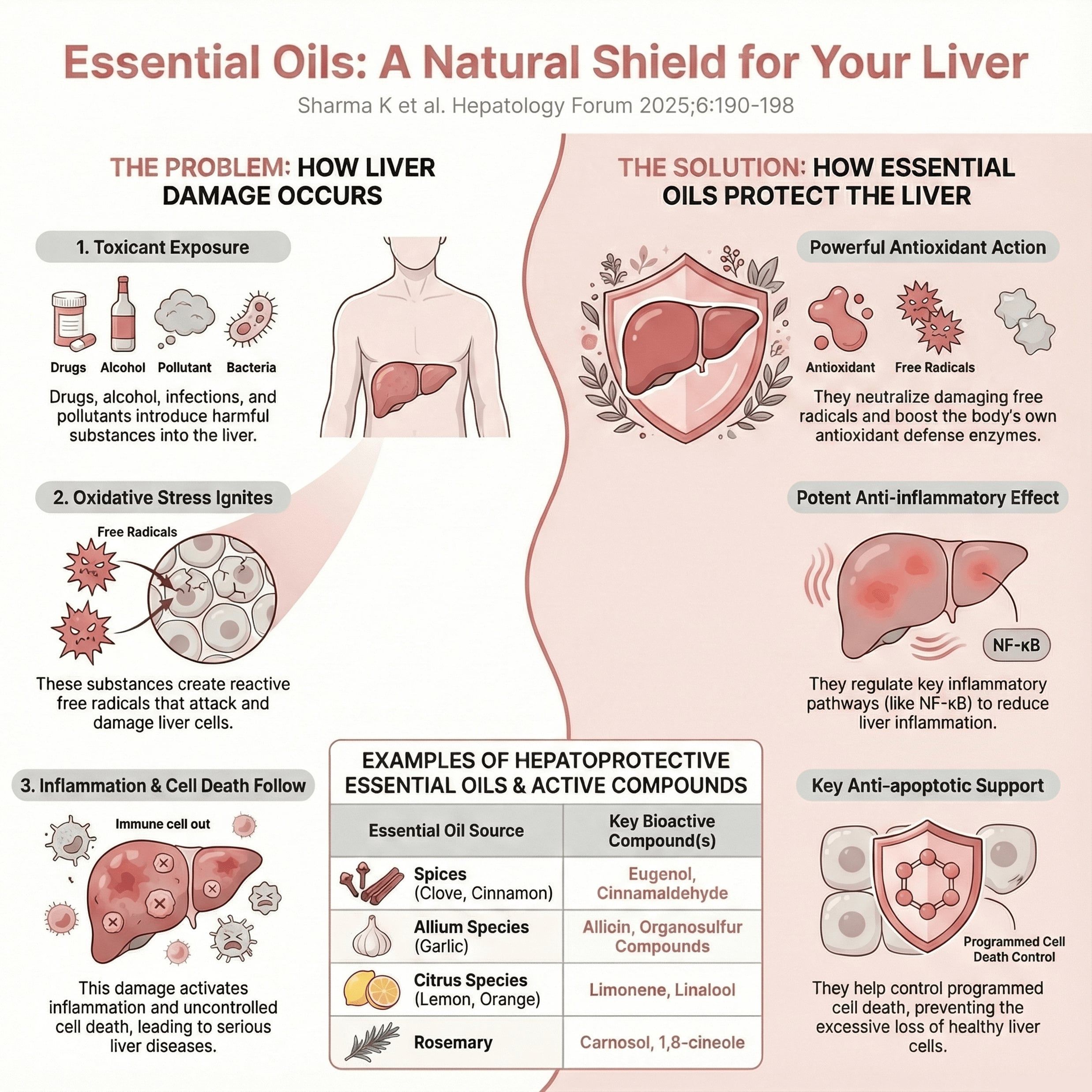 Role of essential oils in preventing hepatotoxicity: A comprehensive review — Hepatology Forum — Hepatology Forum
